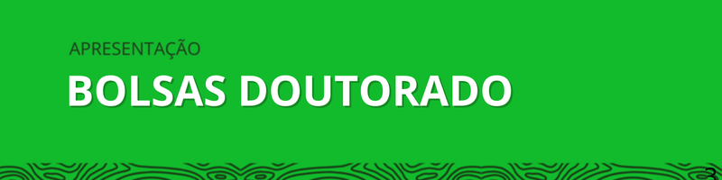 Doutorado